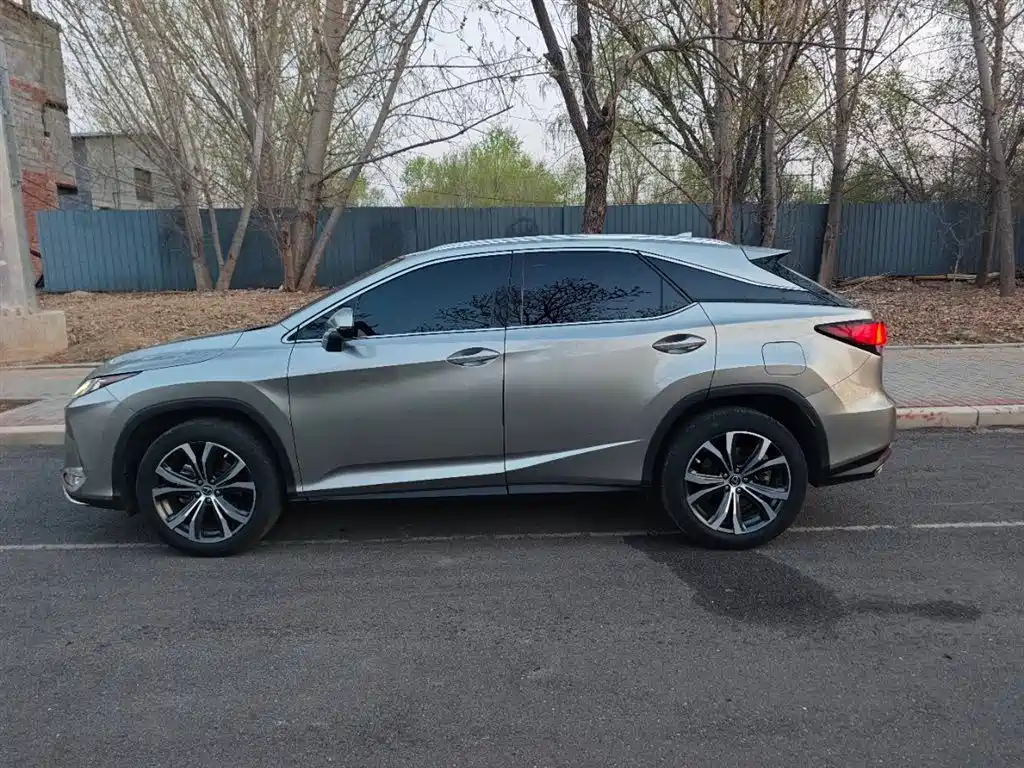 Lexus RX 300 4 WD Elegant CN-VI
