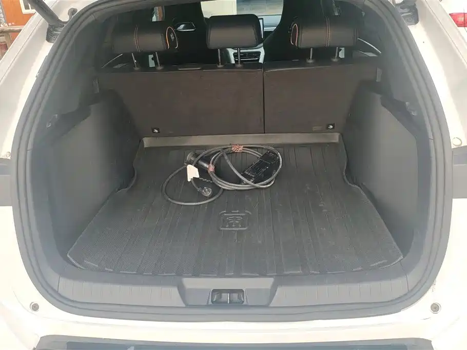 Song PLUS NEV Champion DM-i 110 KM Flagship