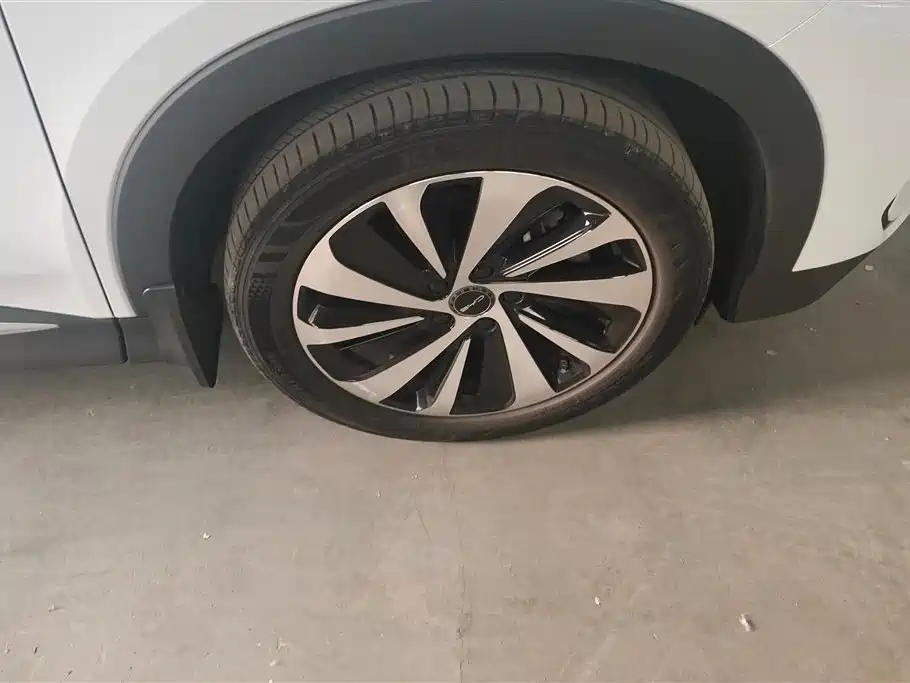 Song PLUS NEV Champion DM-i 110 KM Flagship
