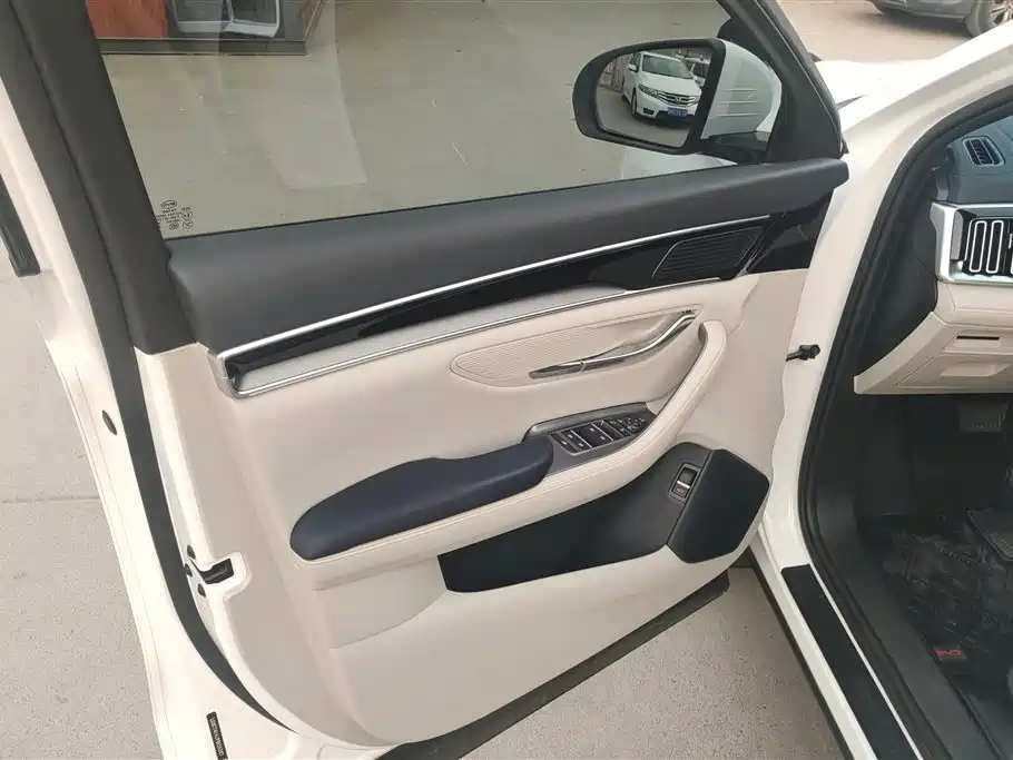 Song PLUS NEV Champion DM-i 110 KM Flagship