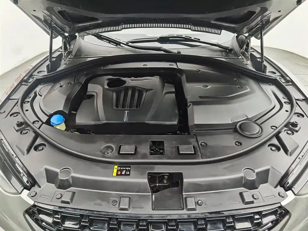 WEY VV7 2.0 T Flagship