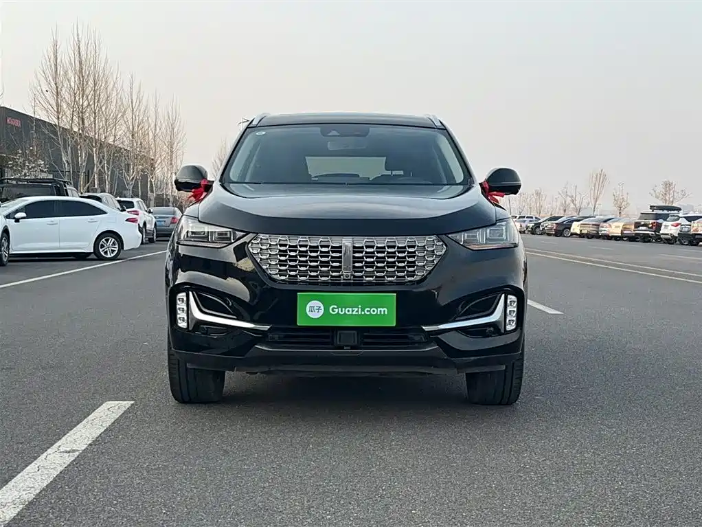 WEY VV6 2.0 T 2 WD Smart Guard +