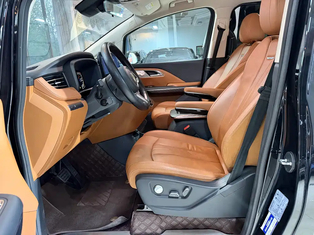 Hongqi HQ9 2.0 T Business