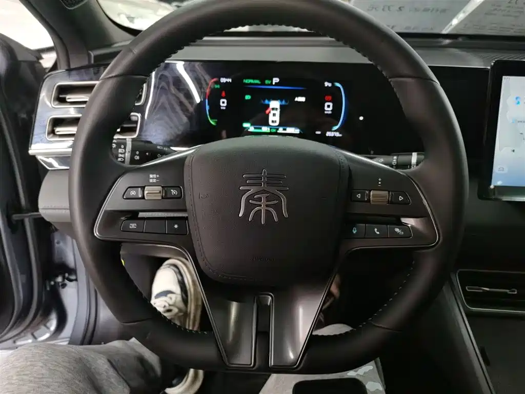 Qin L DM-i 80 KM Leading