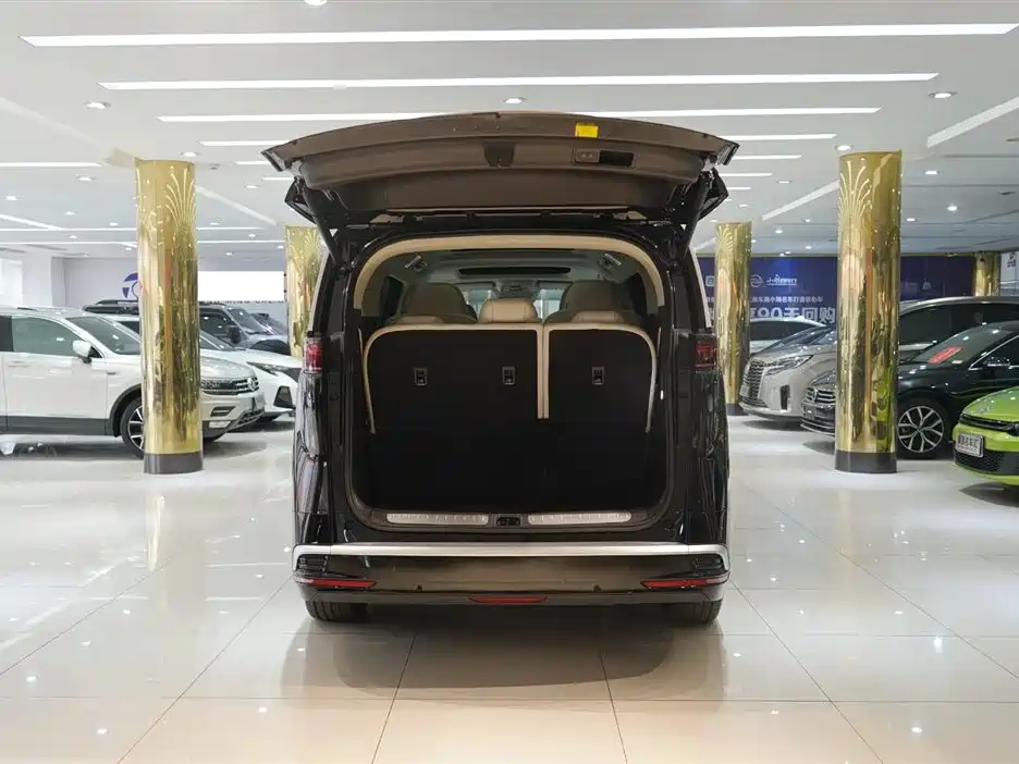 Denza D9 DM-i Smart Drive 1020 4 WD Flagship