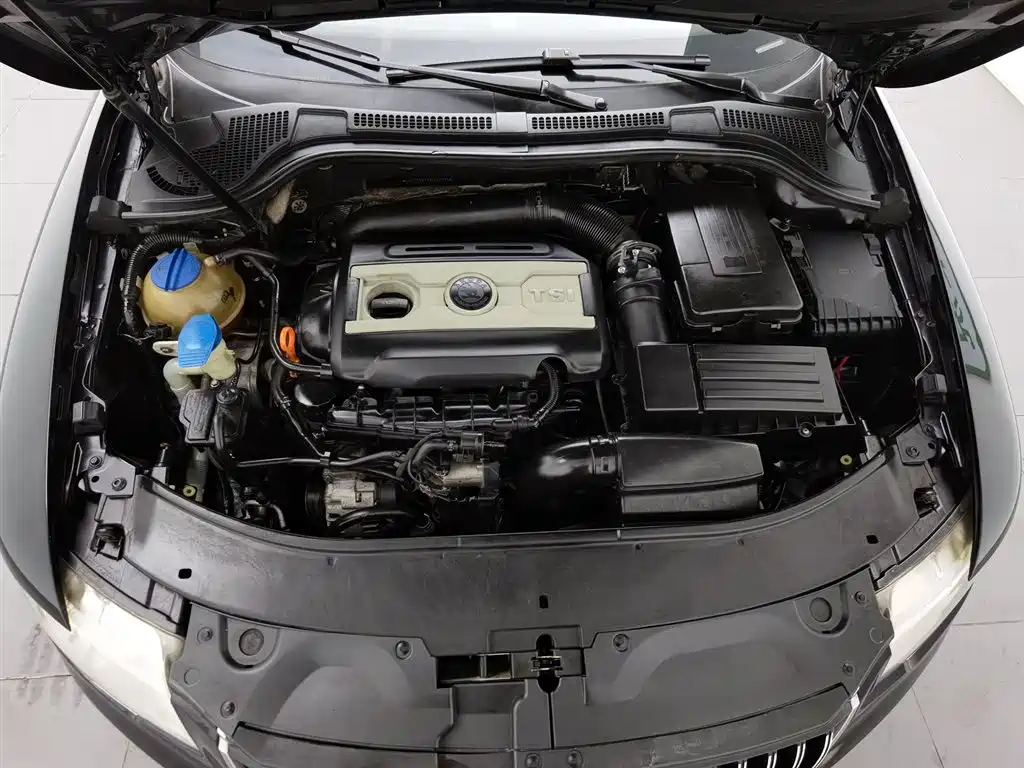 Superb 昊锐 2009款 2.0 TSI 自动尊雅版
