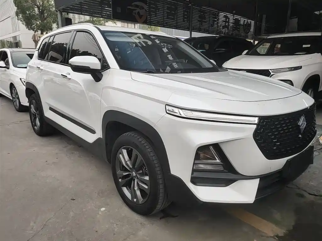 Baojun RS-5 1.5 T CVT Intelligent Drive Control Luxury CN-VI