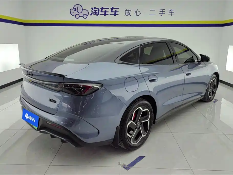 Seal 06 DM-i 120 KM Flagship