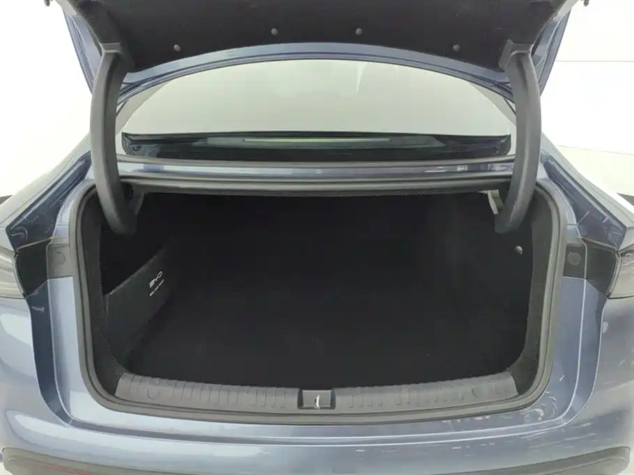Seal 06 DM-i 120 KM Flagship