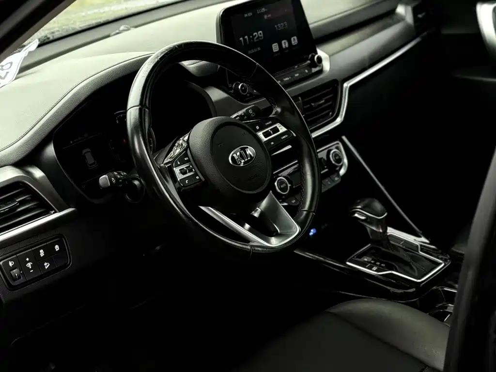 Sportage 2.0 L Auto Smart Enjoyment Luxury