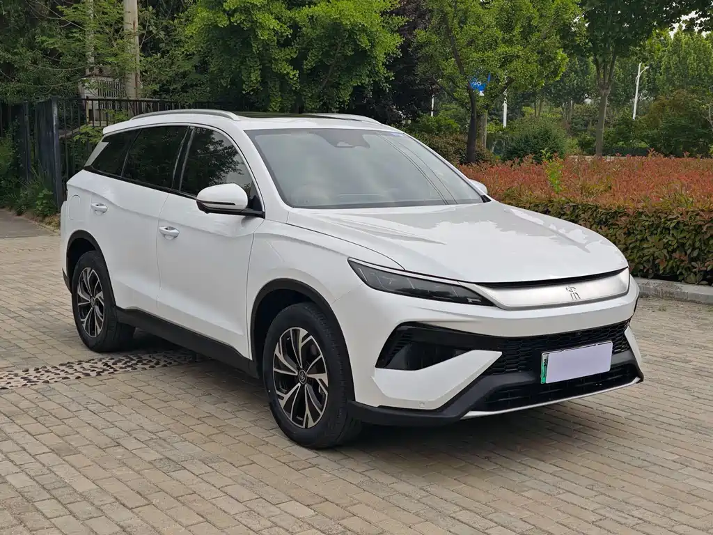 Song Pro NEV 2 nd Gen Smart Drive DM-i 115 KM Transcend