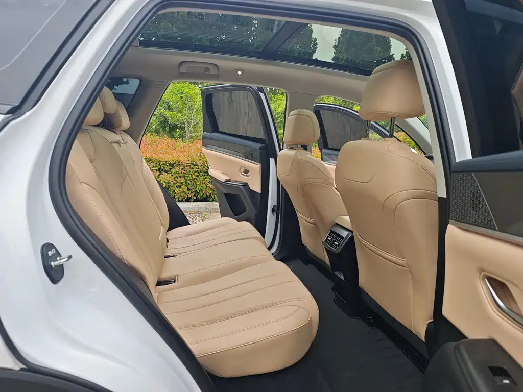 Song Pro NEV 2 nd Gen Smart Drive DM-i 115 KM Transcend