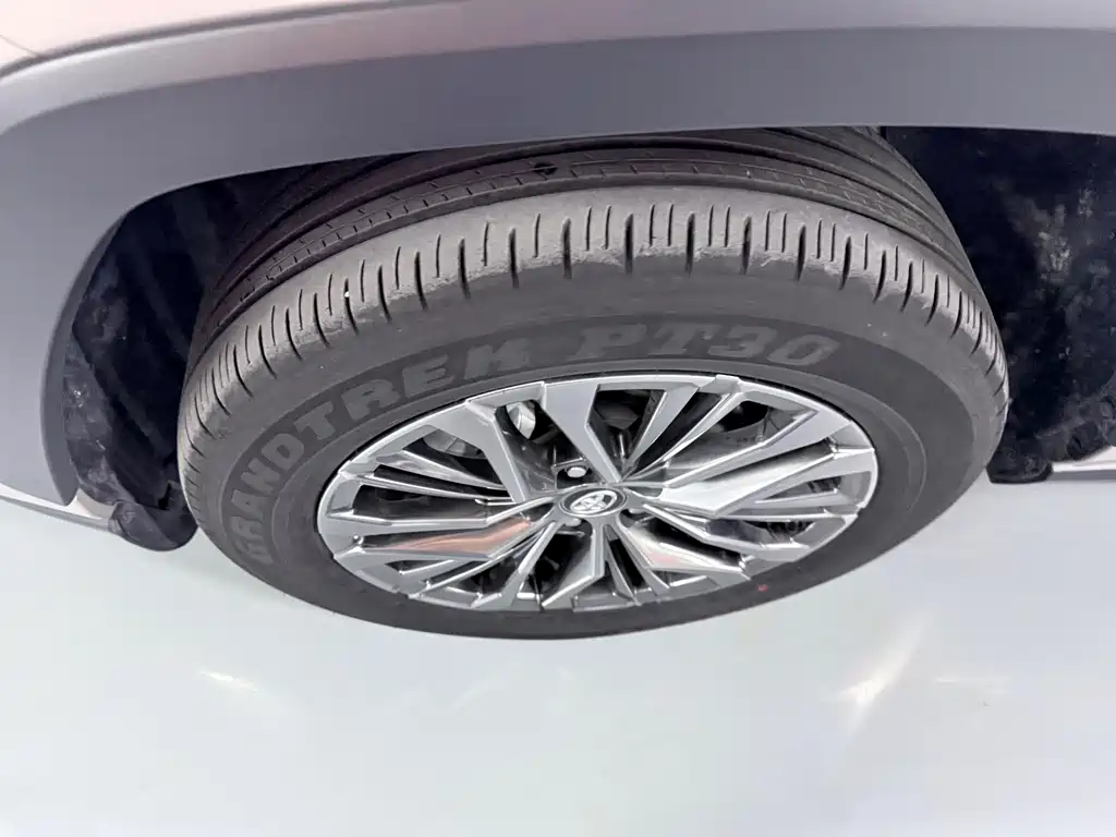 Wildlander 2.0 L CVT 4 WD Luxury PLUS