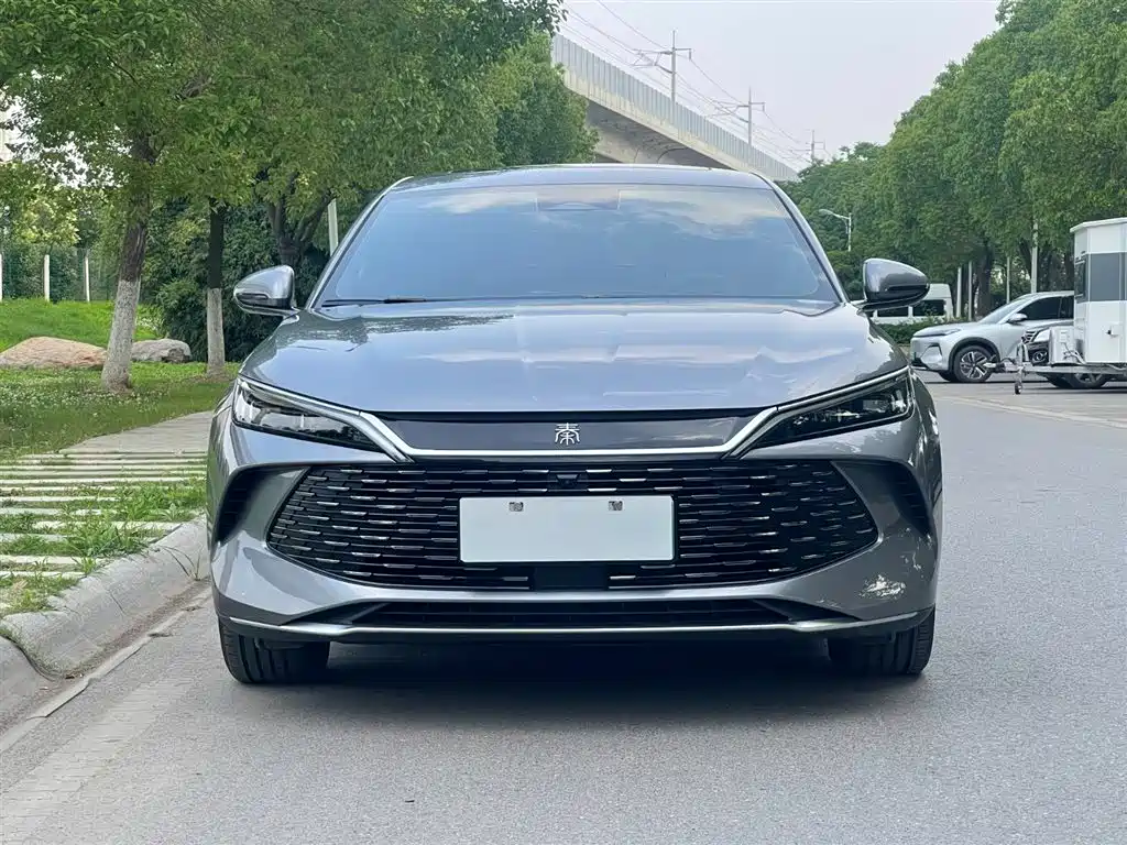 Qin L DM-i 120 KM Transcend