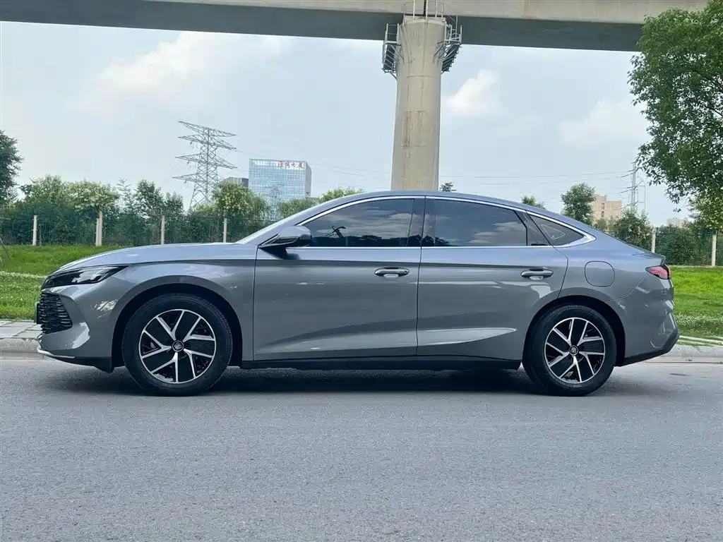 Qin L DM-i 120 KM Transcend