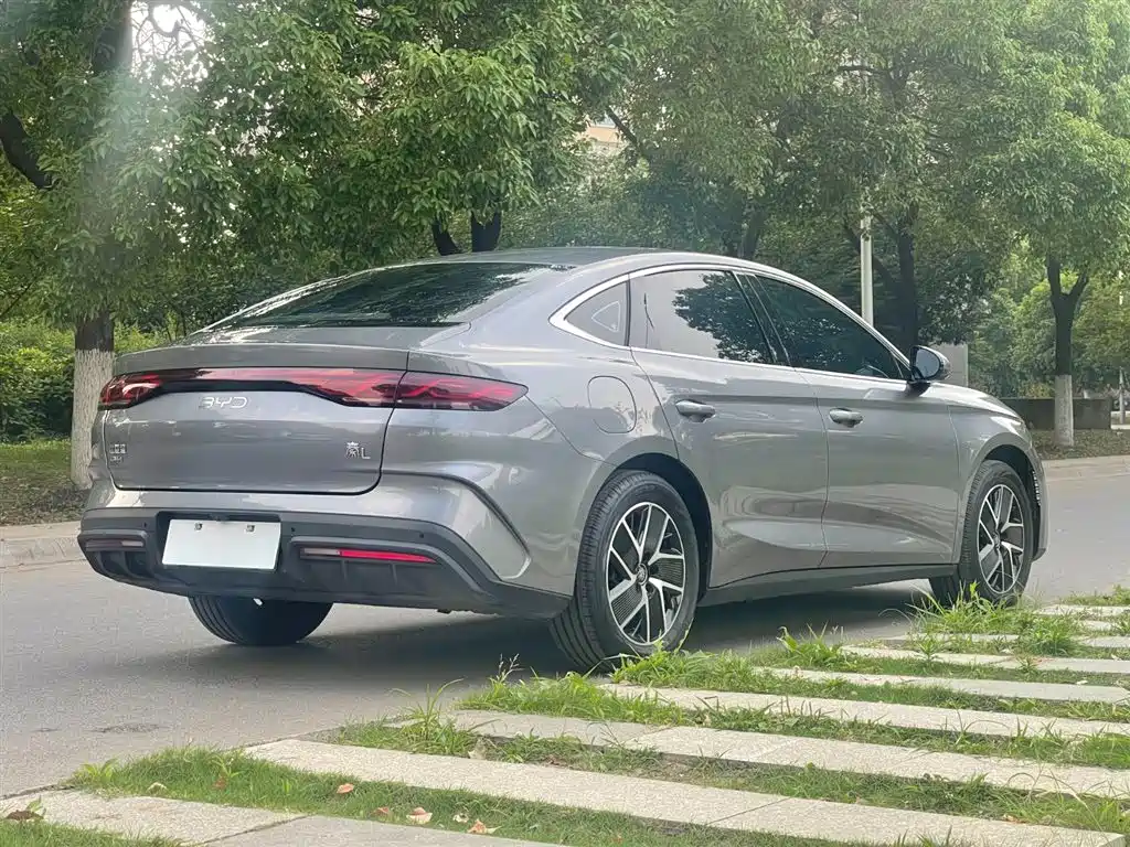 Qin L DM-i 120 KM Transcend