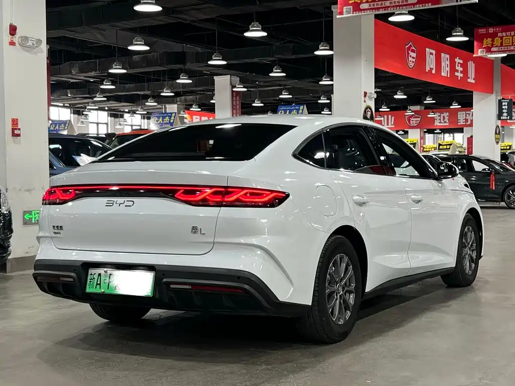Qin L DM-i 80 KM Leading