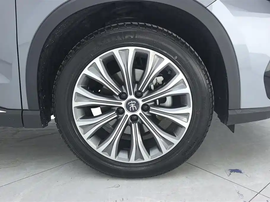 Song Pro NEV DM-i 110 km Flagship Pro