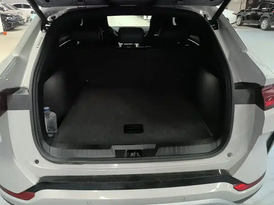 Song PLUS NEV Glory DM-i 110 km Flagship