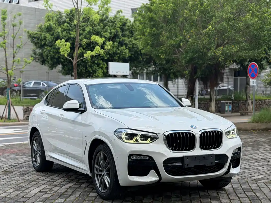 BMW X4 xDrive25 i M Sport Package