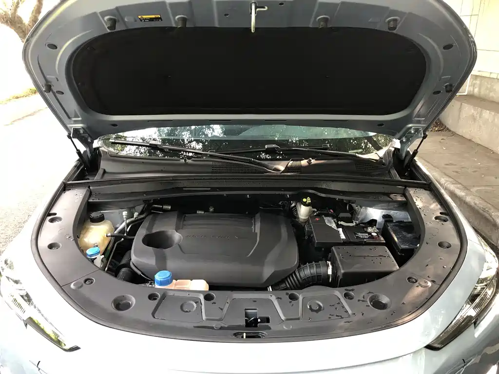 Changan UNI-K 2.0 T 2 WD Joy Leading