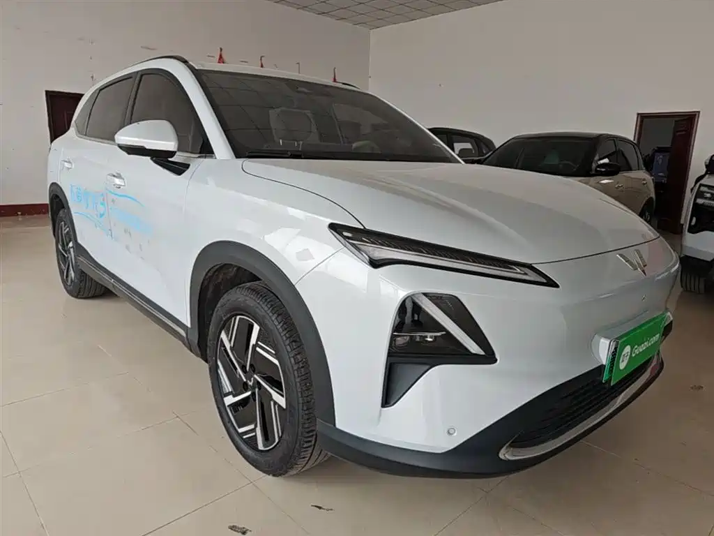 Wuling Starlight S 130 km Flagship