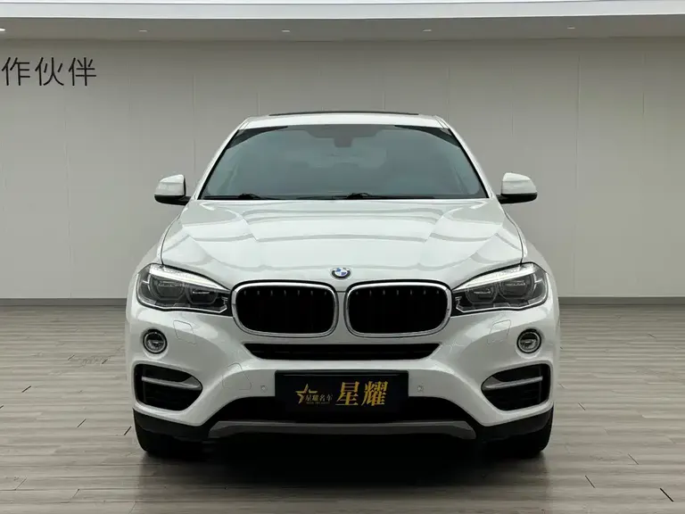 BMW X6 xDrive35 i Leading