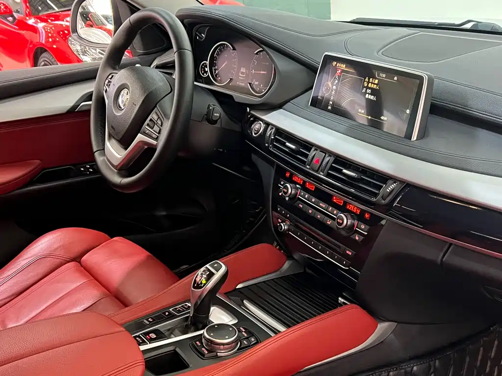 BMW X6 xDrive35 i Leading