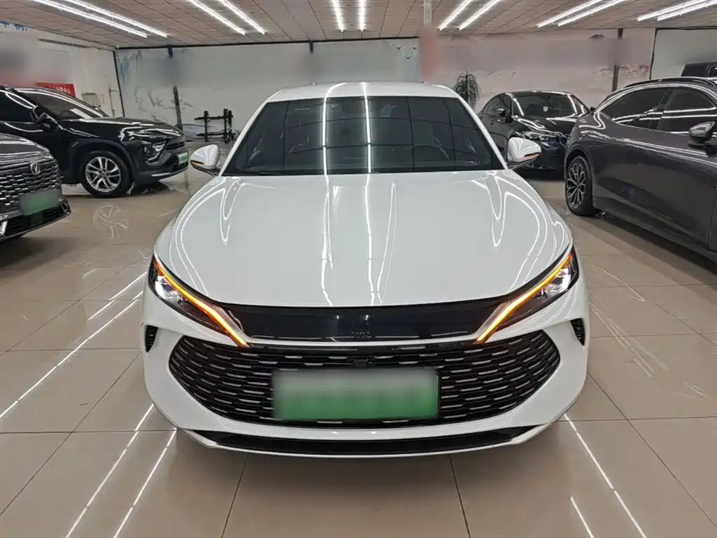 Qin L DM-i 80 KM Leading