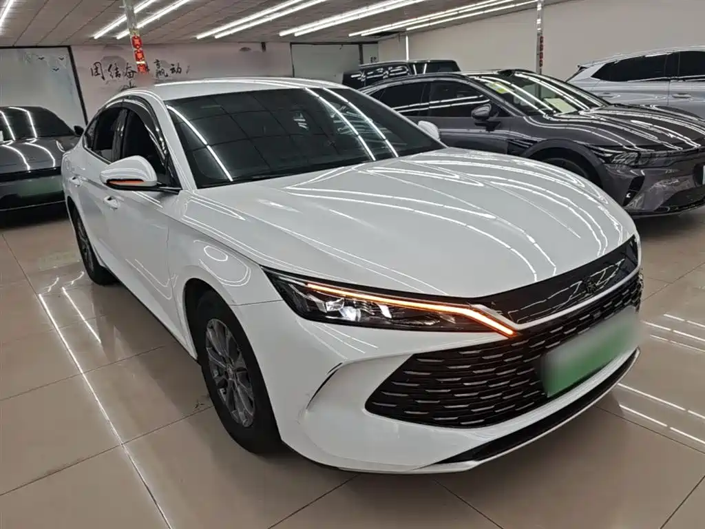 Qin L DM-i 80 KM Leading