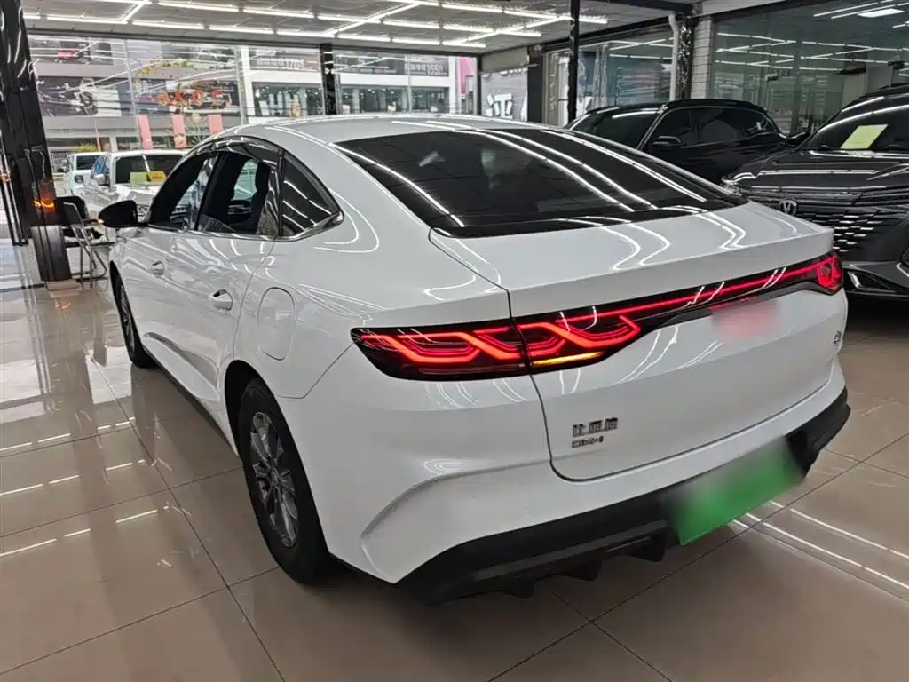 Qin L DM-i 80 KM Leading