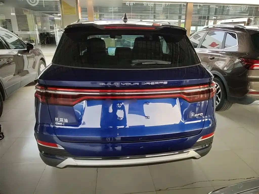 Song Pro NEV DM-i 110 km Flagship Pro