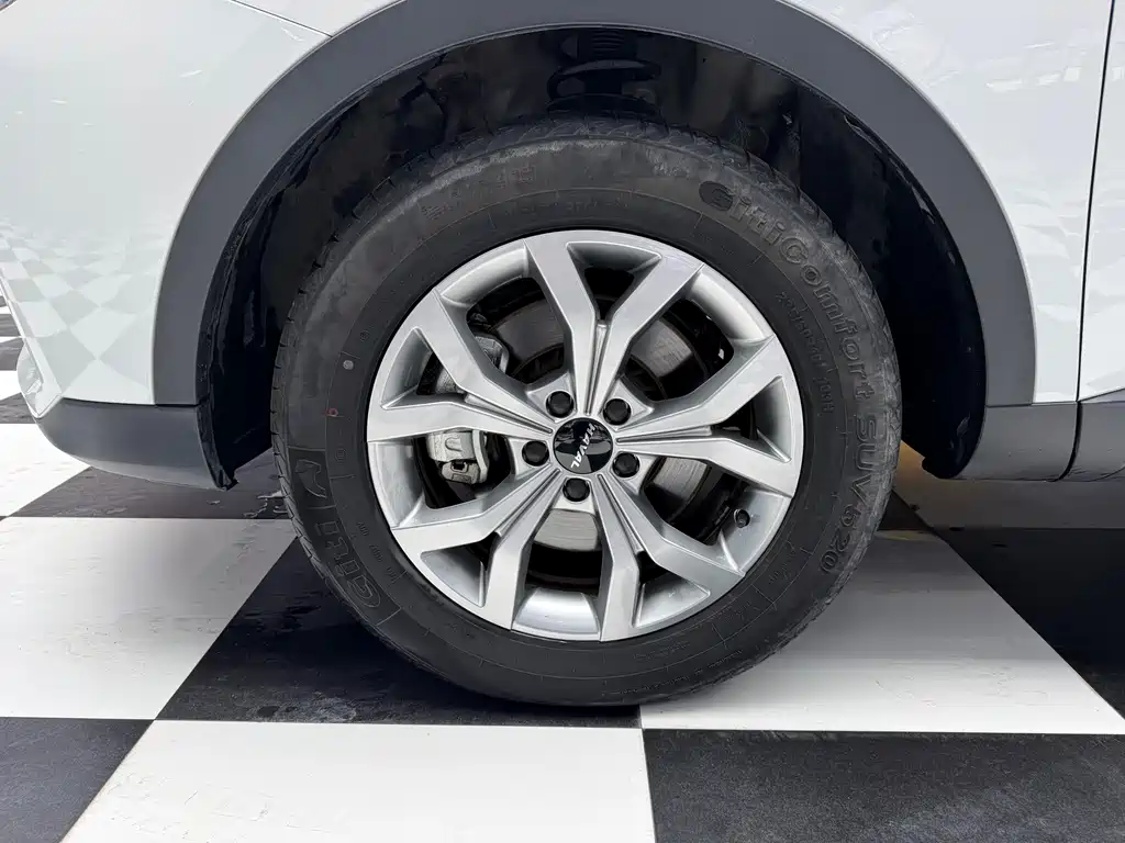 Haval H6 China Style 1.5 T Auto Champion