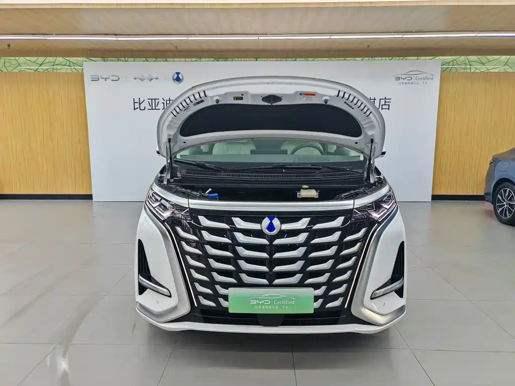 Denza D9 DM-i Smart Drive 1020 4 WD Honored