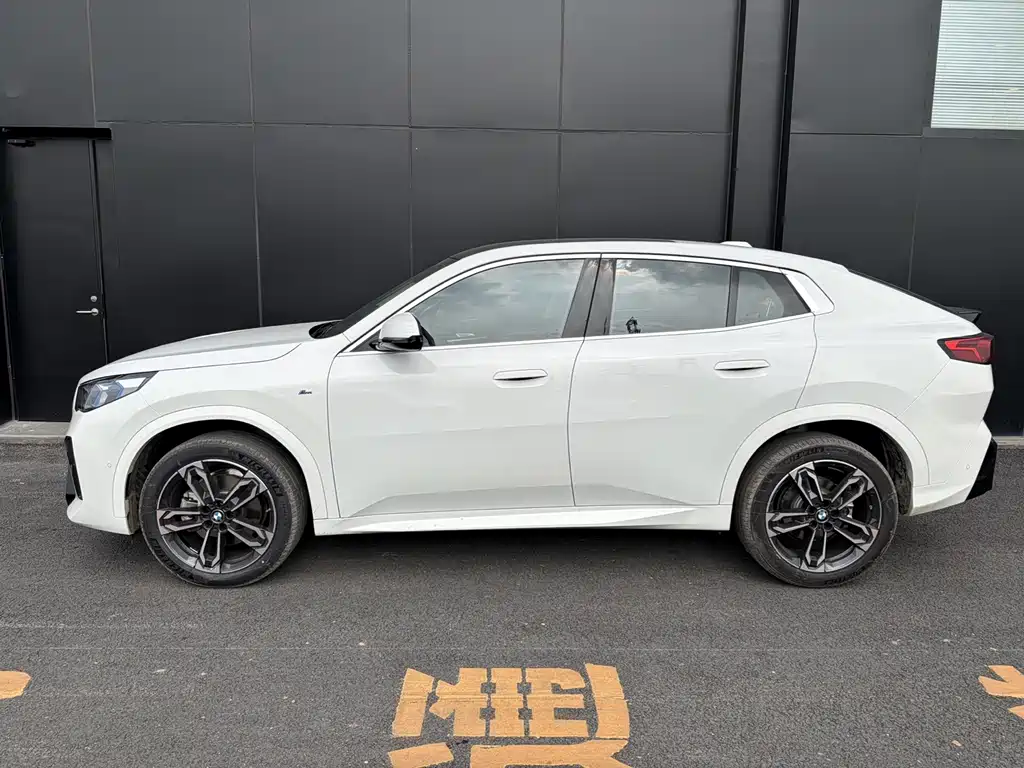 BMW X2 (Import) sDrive25 i M Sport Package