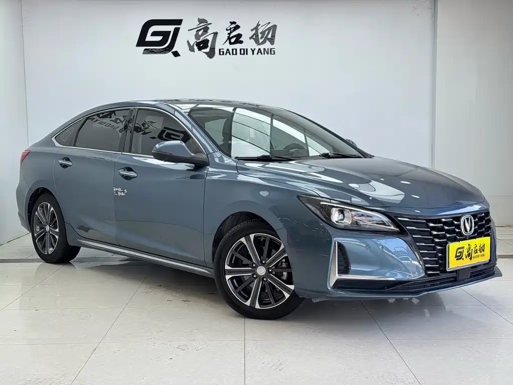 Ruicheng CC Blue Whale 1.5 T DCT Luxury