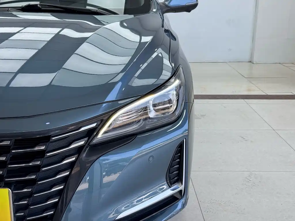 Ruicheng CC Blue Whale 1.5 T DCT Luxury