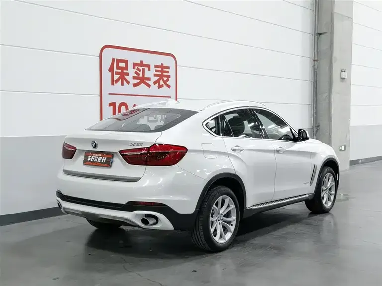 BMW X6 xDrive35 i Leading