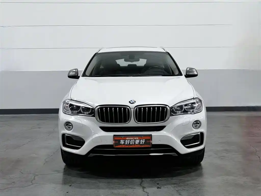BMW X6 xDrive35 i Leading