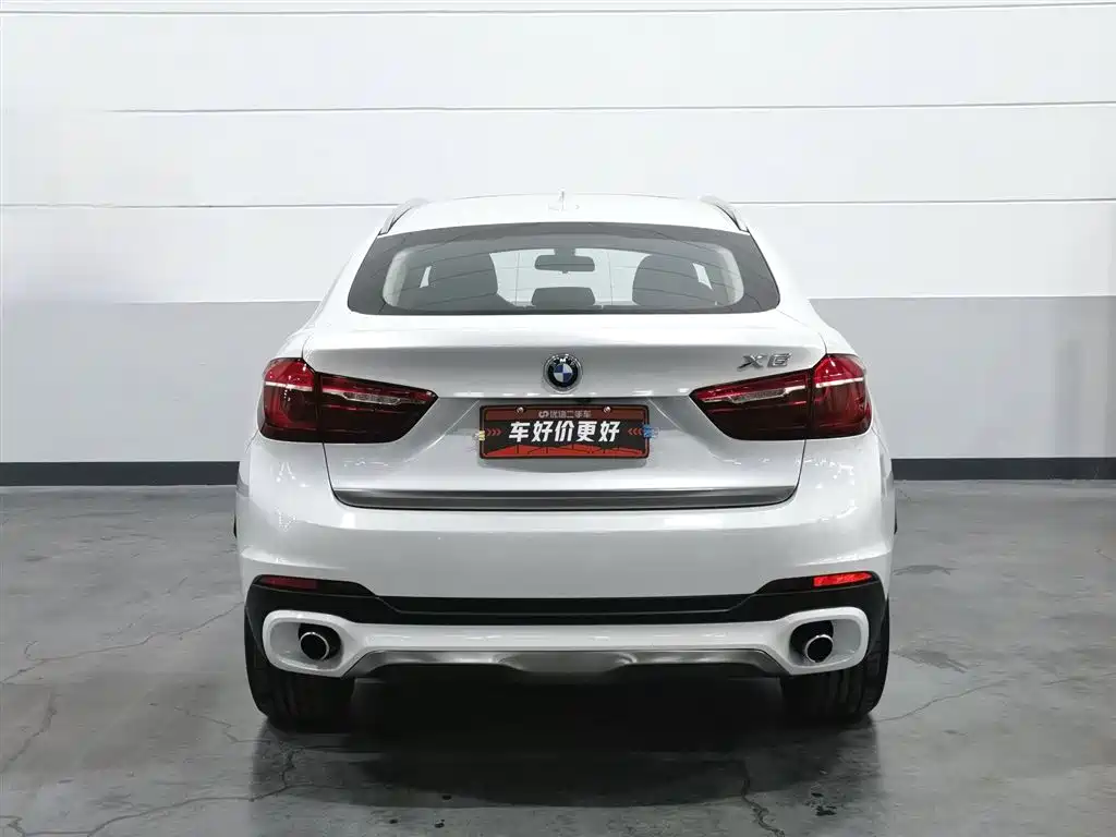 BMW X6 xDrive35 i Leading