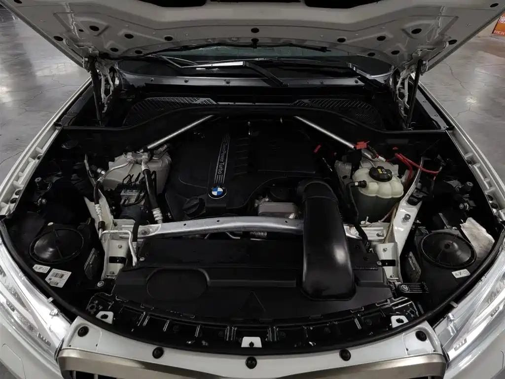 BMW X6 xDrive35 i Leading