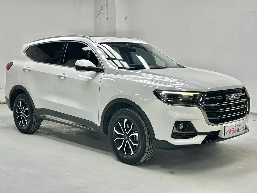 Haval H6 China Style 1.5 T Auto Urban