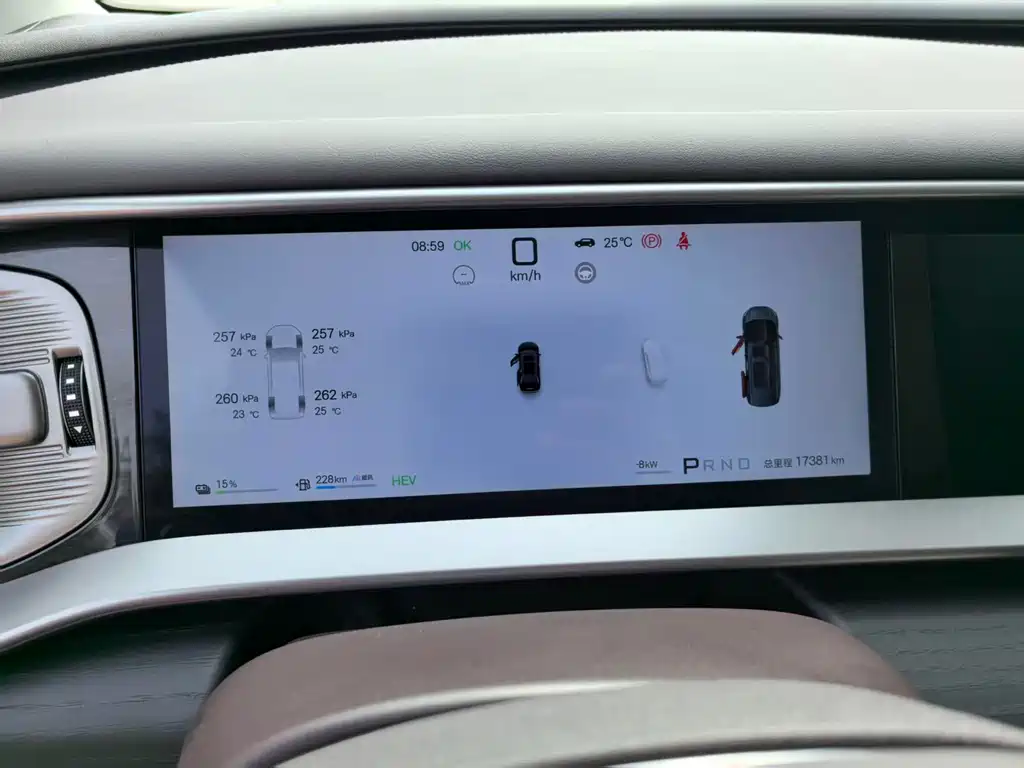 Denza D9 DM-i Smart Drive 1020 4 WD Flagship