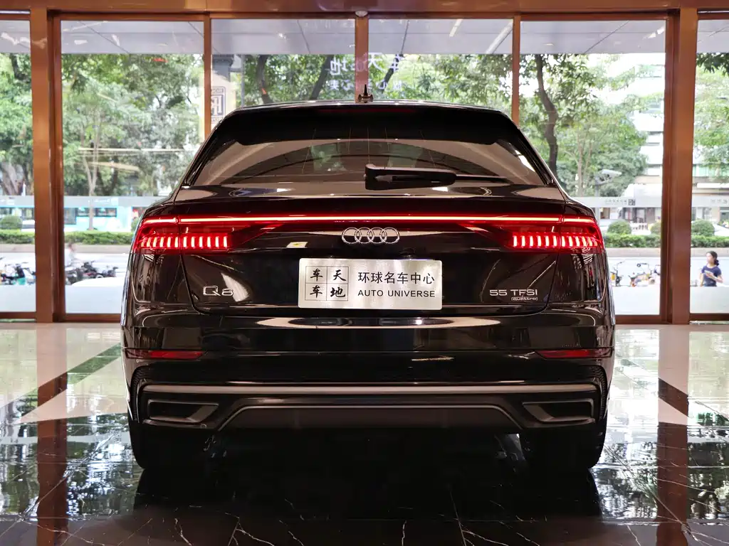 Audi Q8 55 TFSI Luxury Dynamic