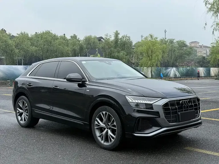 Audi Q8 55 TFSI Luxury Dynamic