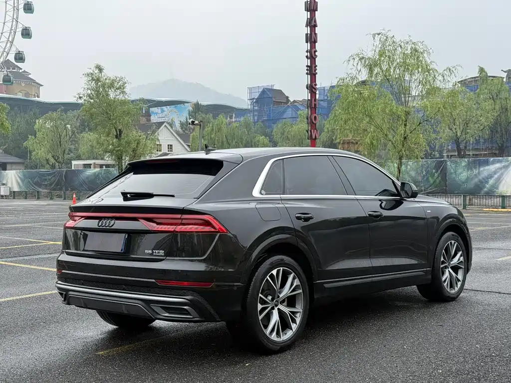 Audi Q8 55 TFSI Luxury Dynamic