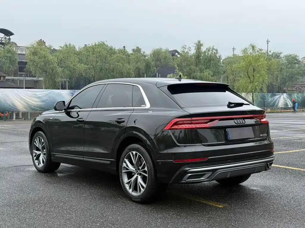 Audi Q8 55 TFSI Luxury Dynamic
