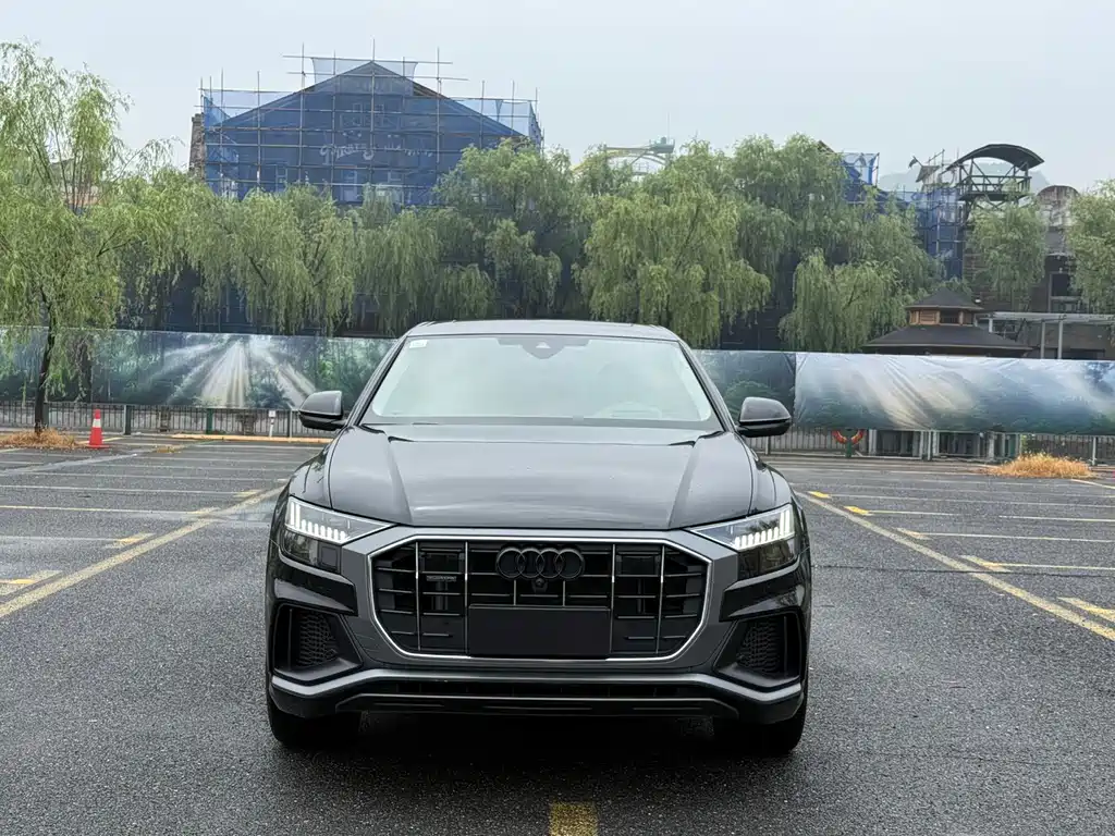Audi Q8 55 TFSI Luxury Dynamic