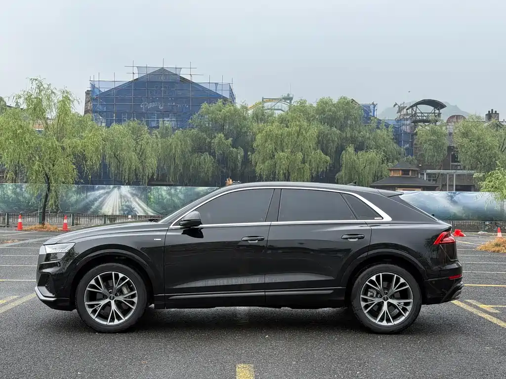 Audi Q8 55 TFSI Luxury Dynamic
