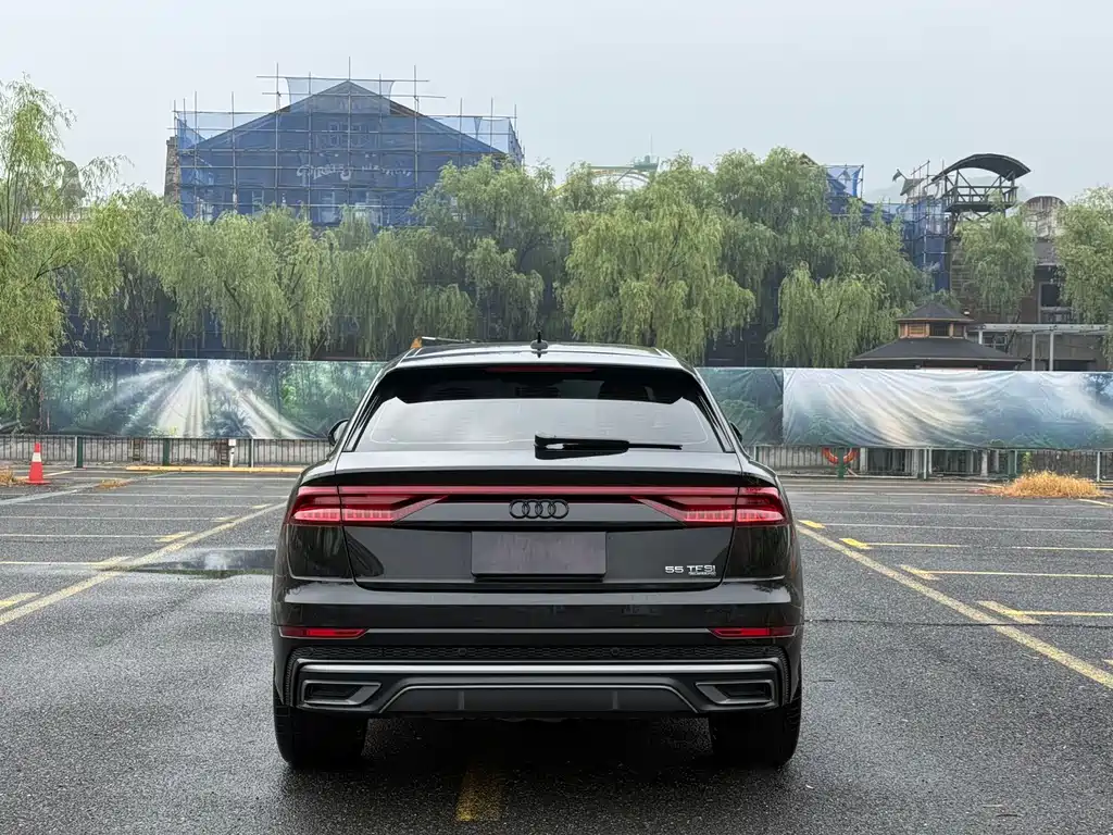 Audi Q8 55 TFSI Luxury Dynamic
